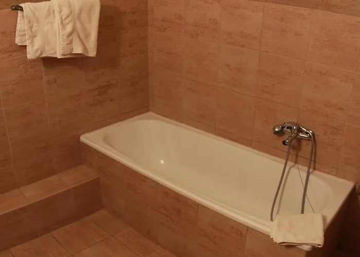 فندق Bohemia 3*