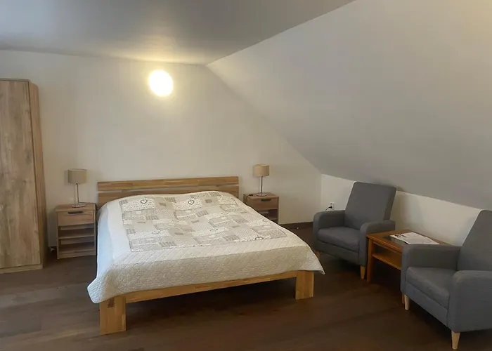 فندق Bohemia تشيسكي بوديوفيتسه